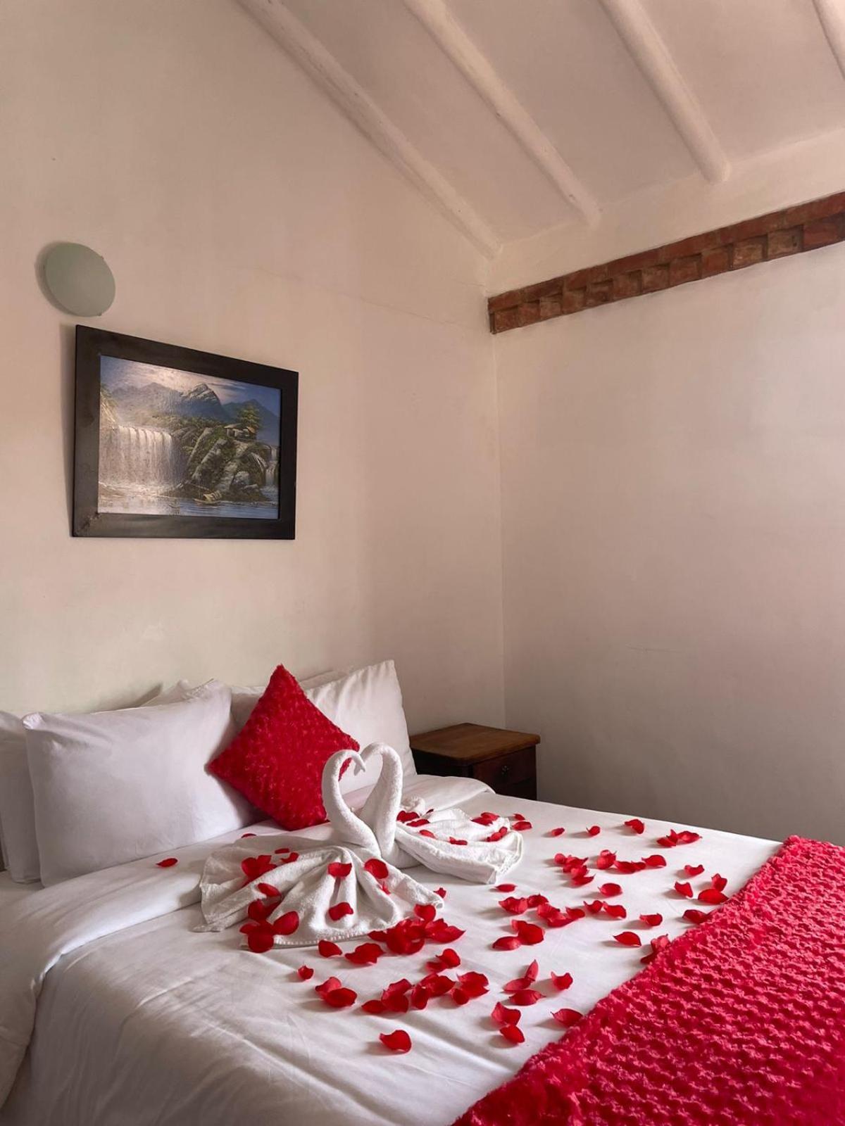 Hotel Macondo